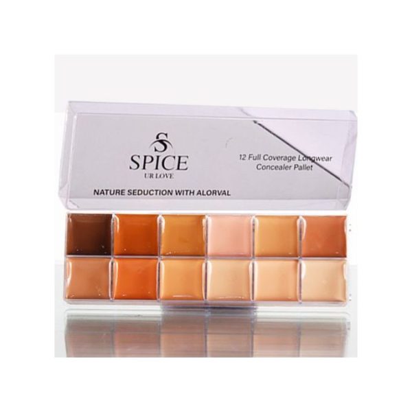 Quality Professional Concealer Palette