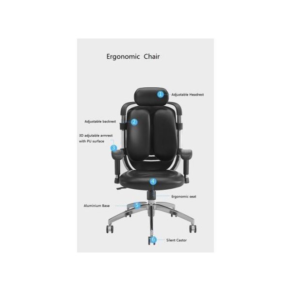 Executive Kidney Office Chair